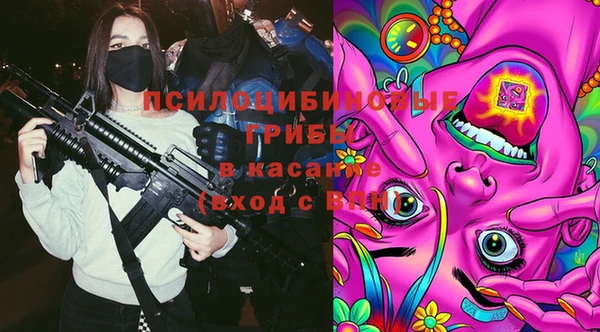 герыч Алексин