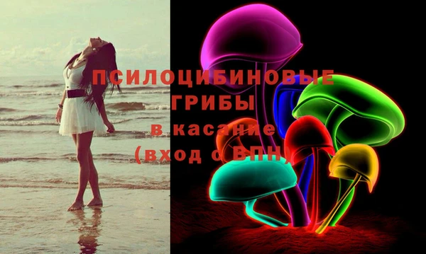 2c-b Аркадак