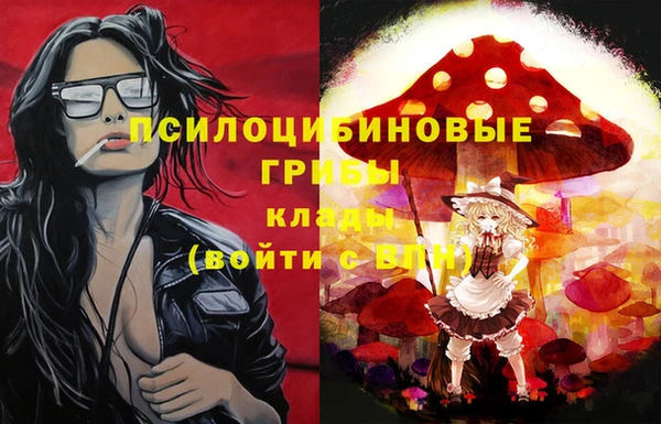 кокс Армянск