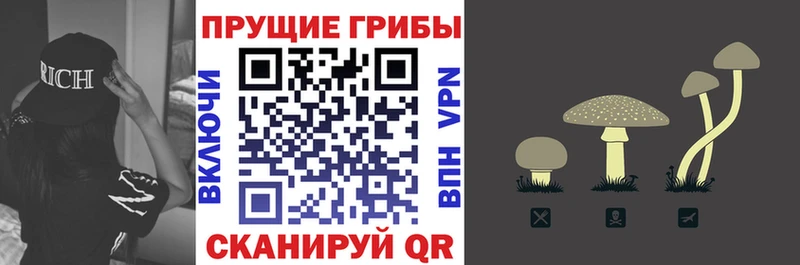 Галлюциногенные грибы мицелий  гидра ссылки  Белорецк 